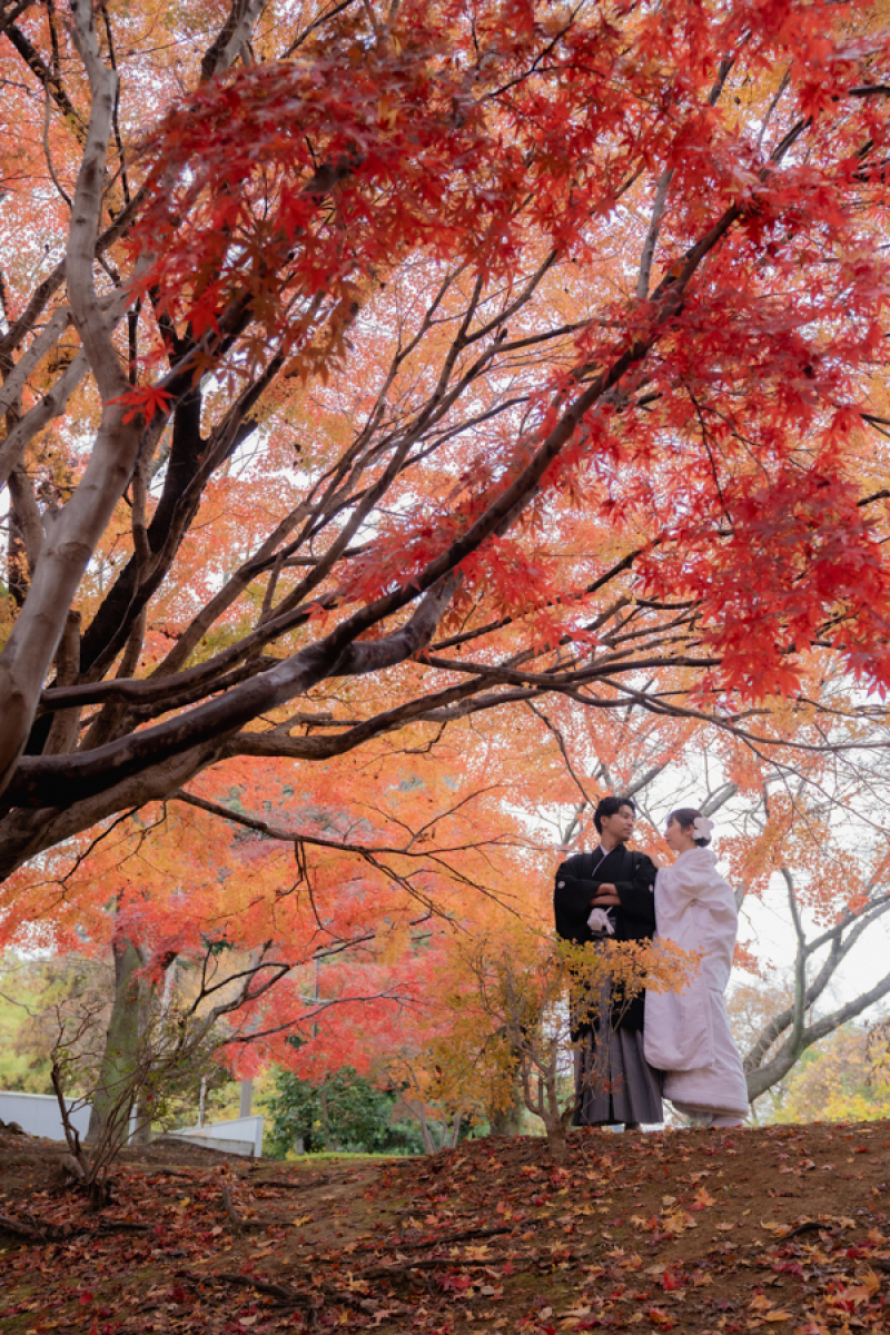 12月＊偕楽園＊ロケーション撮影＊雨-白無垢＆色打掛♪