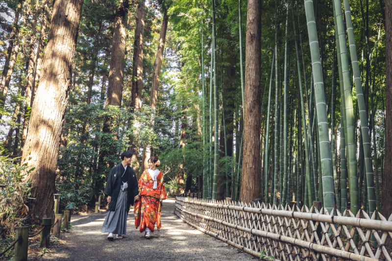 偕楽園竹林にて