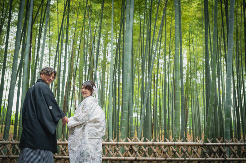 偕楽園竹林にて