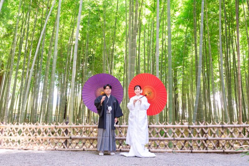 別アングルでの竹林