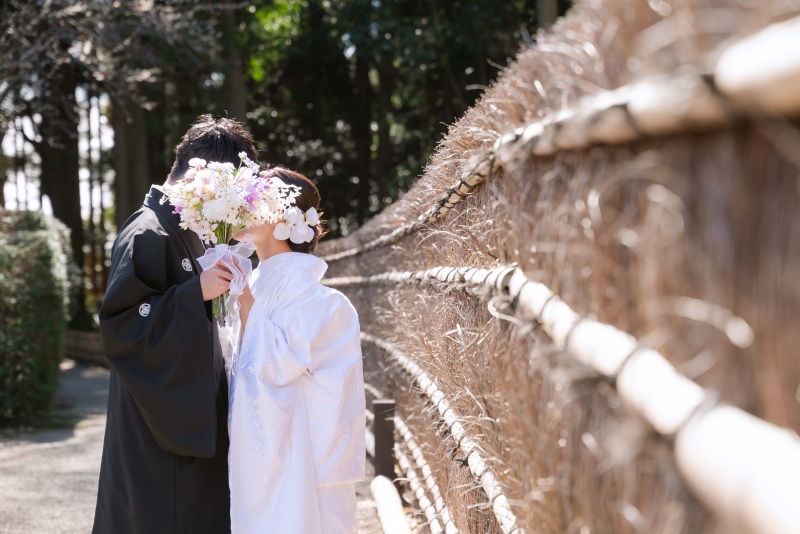 梅の時期でも...