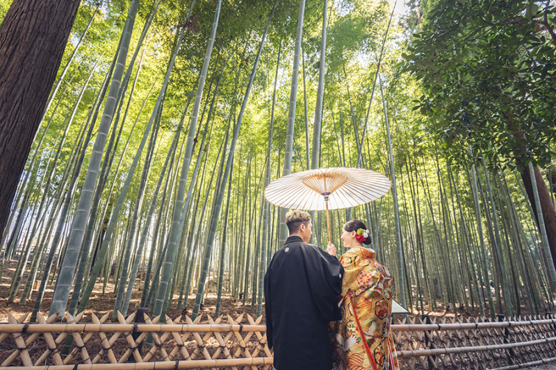 偕楽園竹林にて