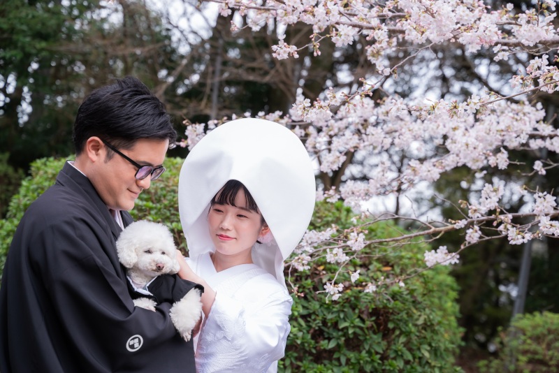 4月上旬。梅のあとは桜が徐々に...
