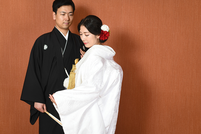 スタジオ背景：ブラウンバック