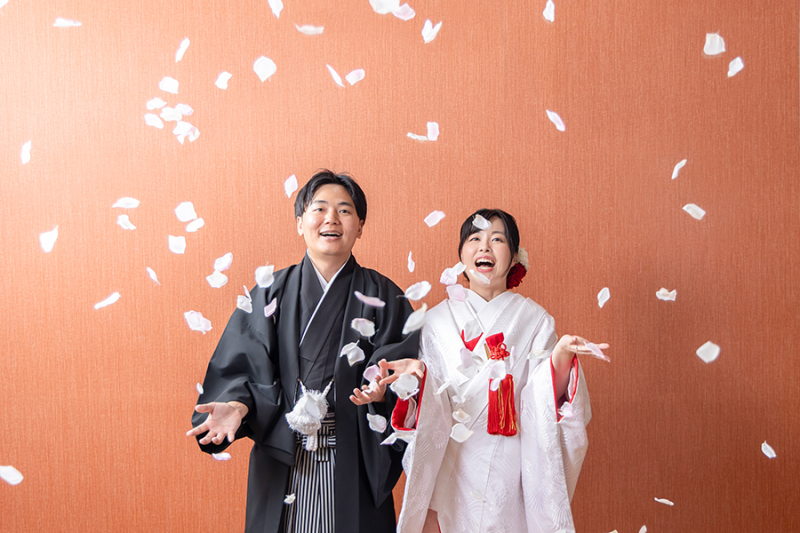 スタジオ背景：ブラウンバック