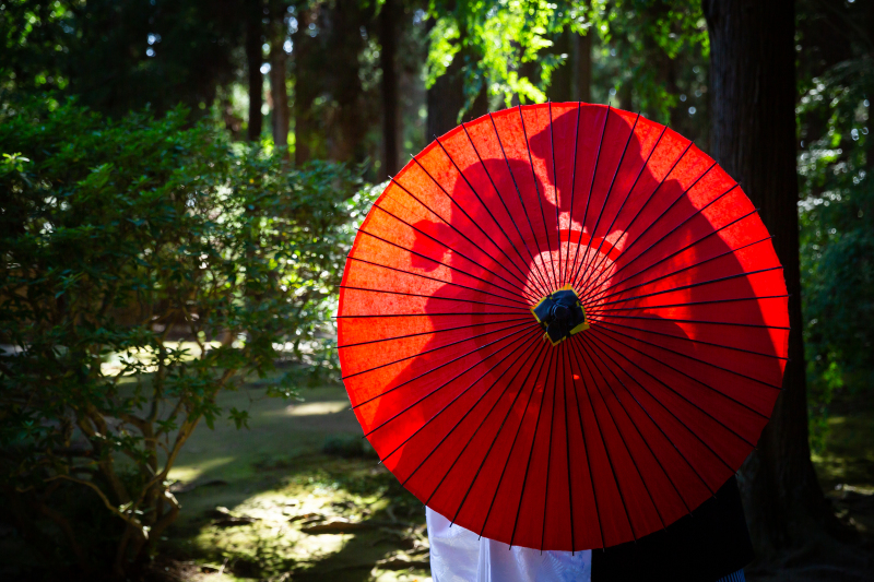 幻想的なシルエット