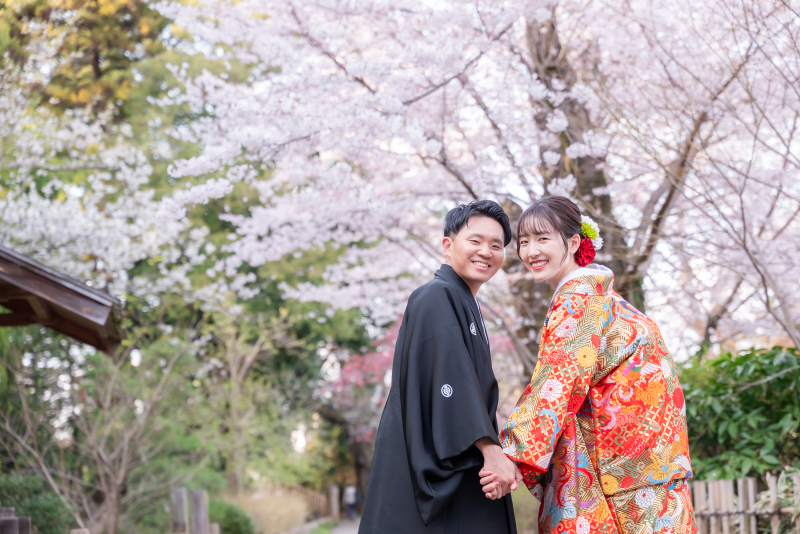  (4月)＊偕楽園＊桜ロケーション撮影1着＊＊色打掛＊