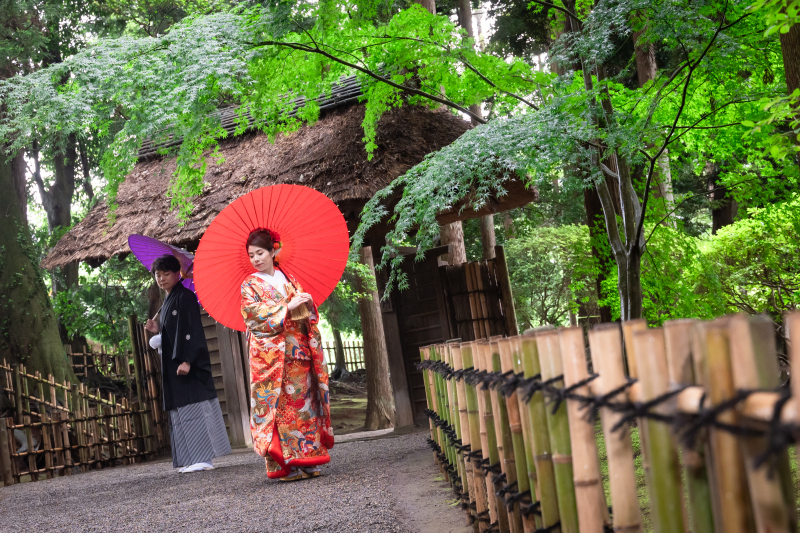 今年は雨と撮影が重なる日が少ないような...