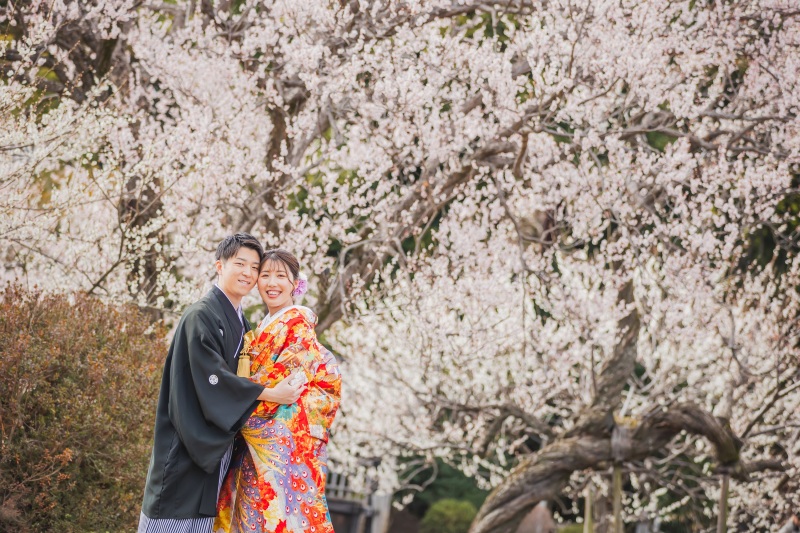 水戸の偕楽園といえば...