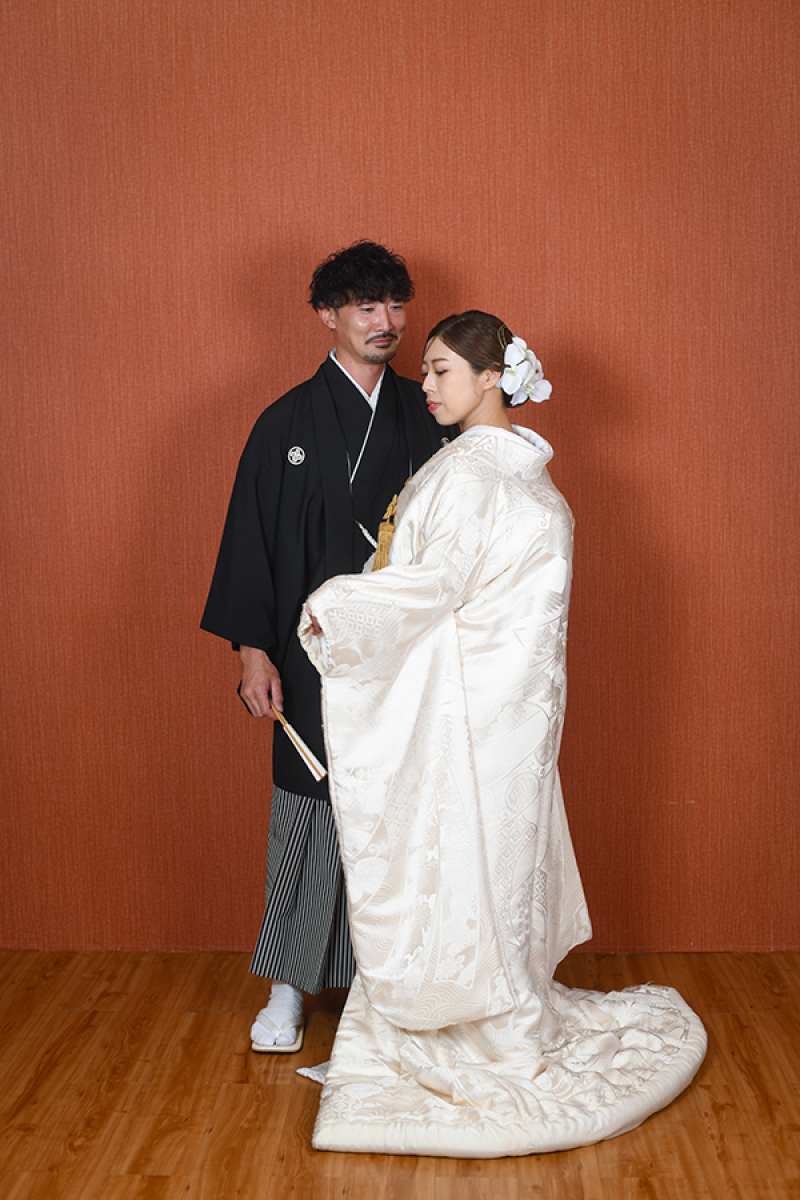 スタジオ背景:ブラウンバック