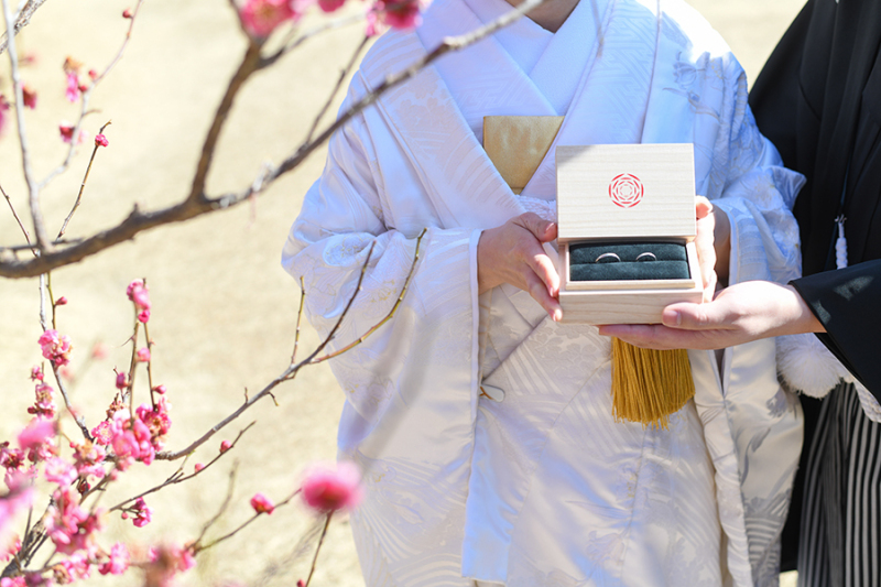 偕楽園梅林にて