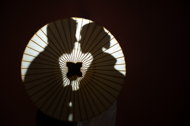 スタジオ背景：ブラウンバック