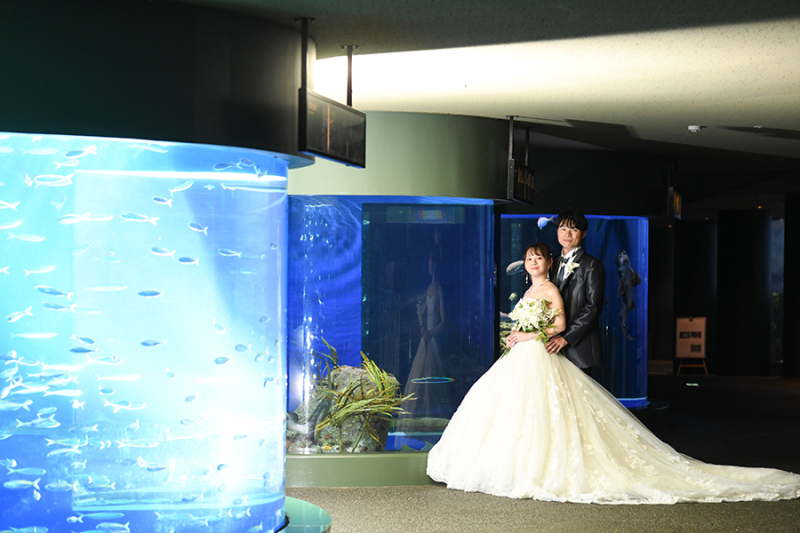 水族館にて