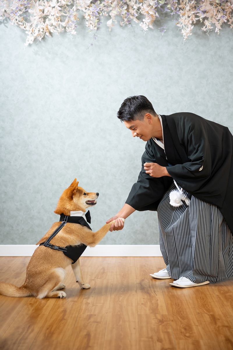 スタジオ背景：フラワーバック