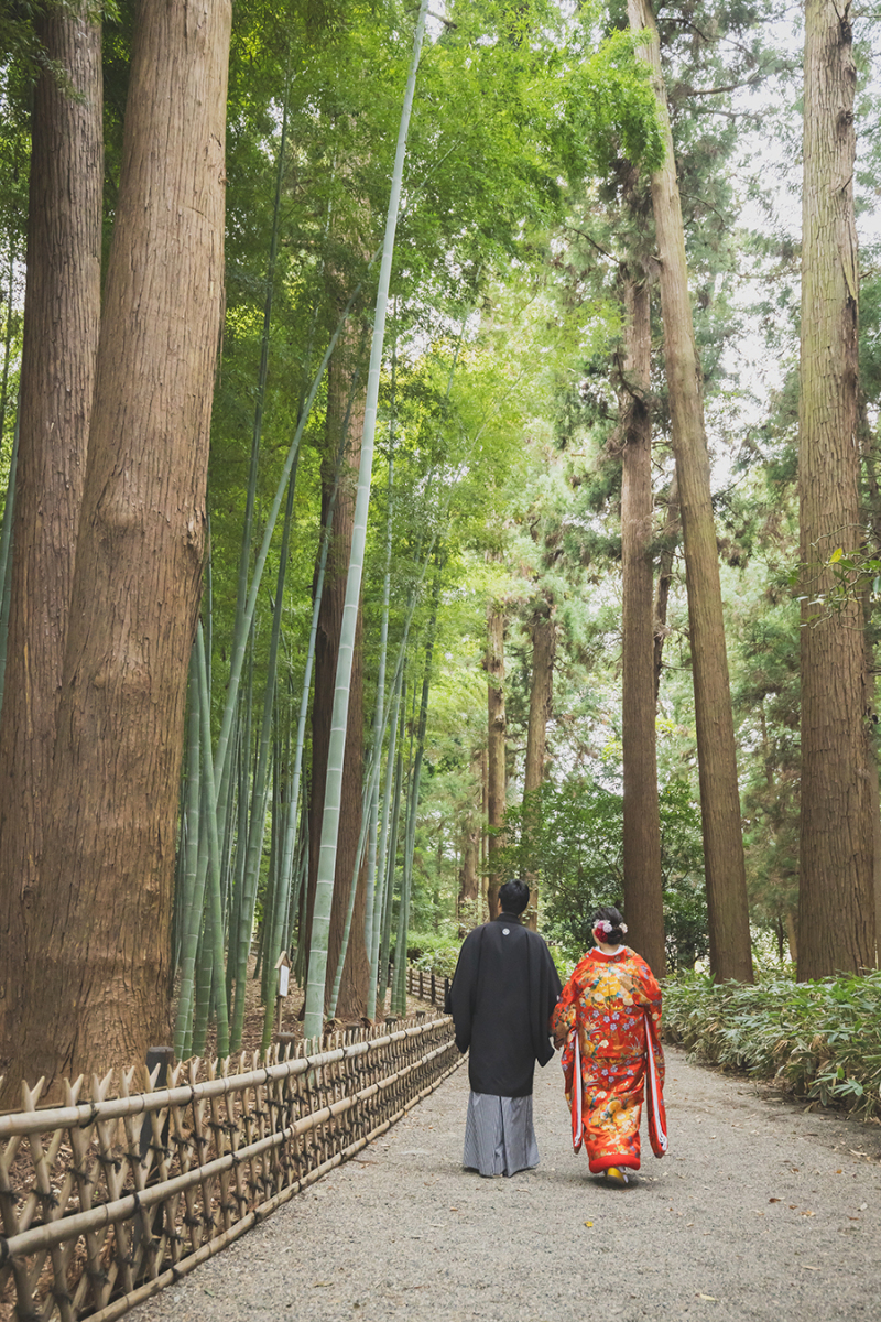 偕楽園竹林にて