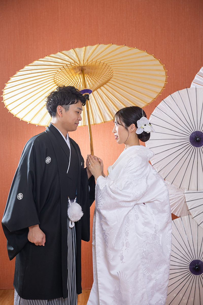 スタジオ背景:ブラウンバック