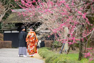 (3月)＊偕楽園/スタジオ＊和装ロケーション2着プラン＊