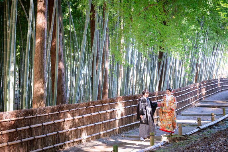 通年可能な撮影スポット！