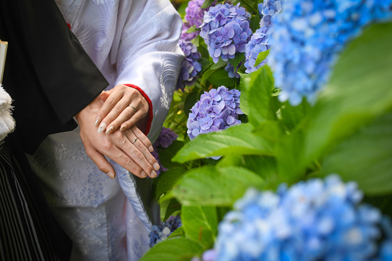 偕楽園紫陽花にて