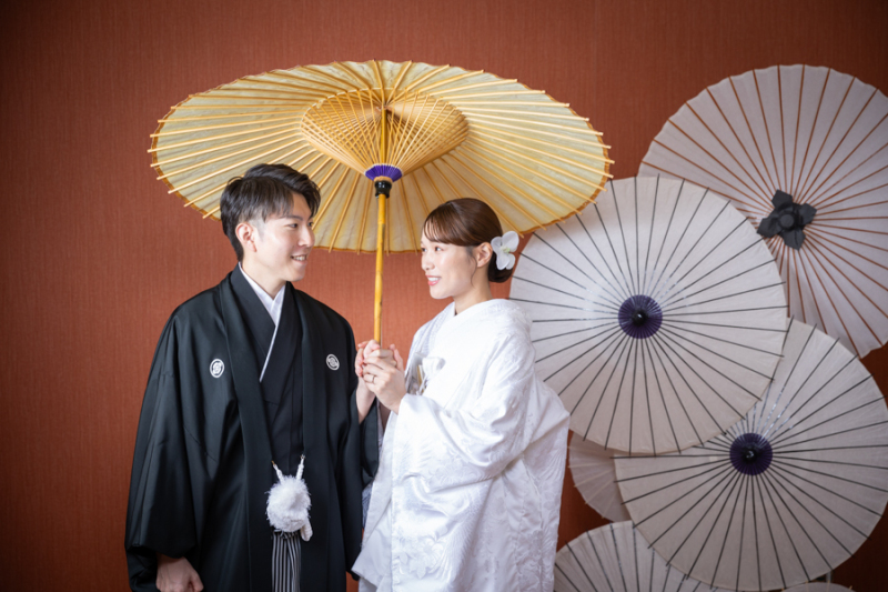 スタジオ背景：ブラウンバック