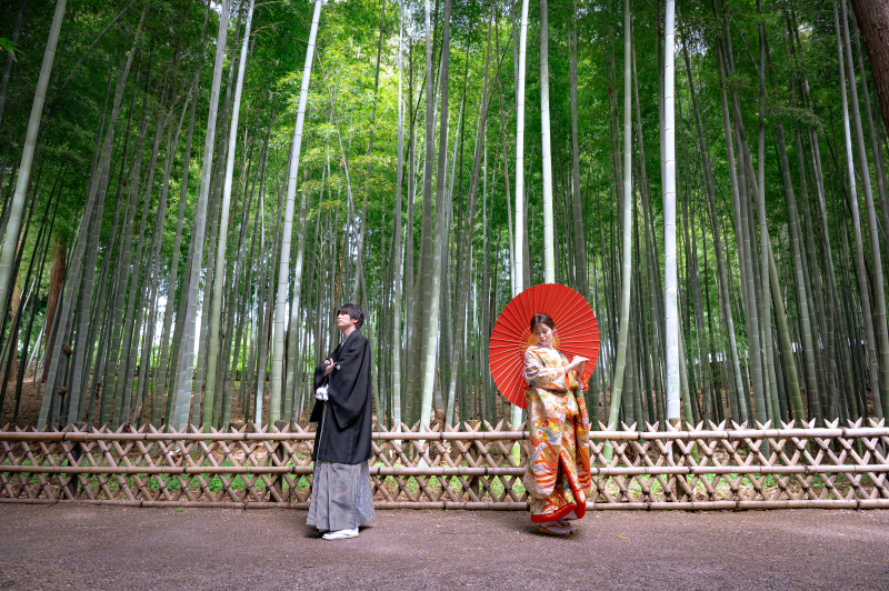 偕楽園竹林にて