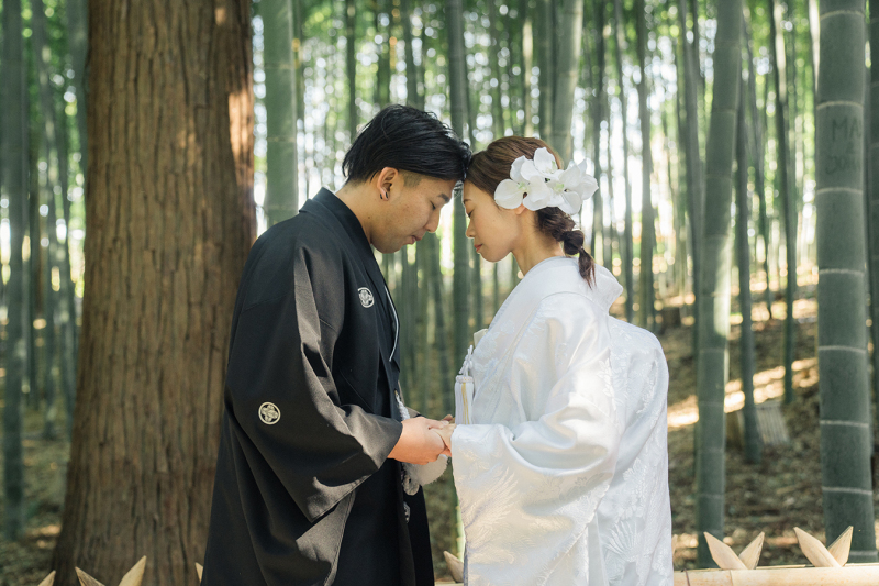 偕楽園竹林にて