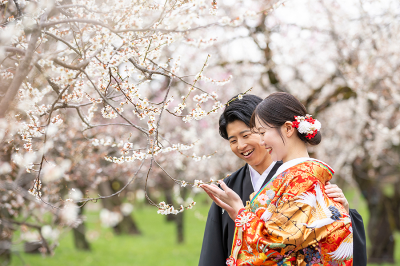 偕楽園梅林にて