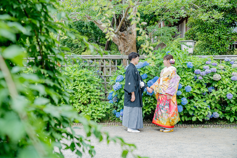 偕楽園紫陽花にて