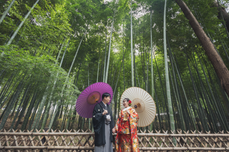 偕楽園竹林にて