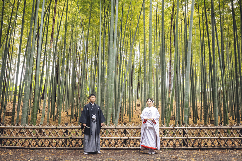 偕楽園竹林にて