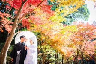 11月＊偕楽園(もみじ谷)/紅葉でロケーション撮影＊晴れ-白無垢/綿帽子