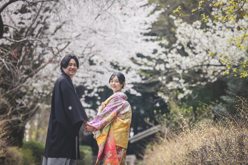 桜ロケーション