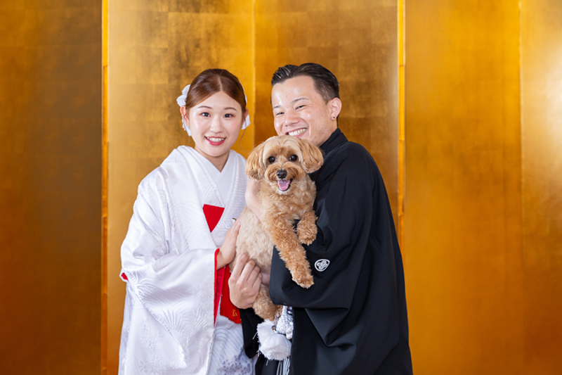 スタジオ背景：金屛風