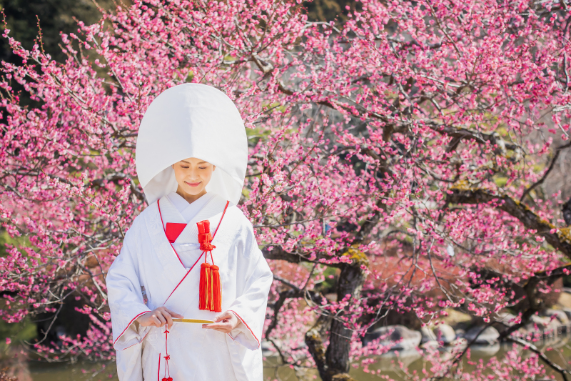 格式高い綿帽子