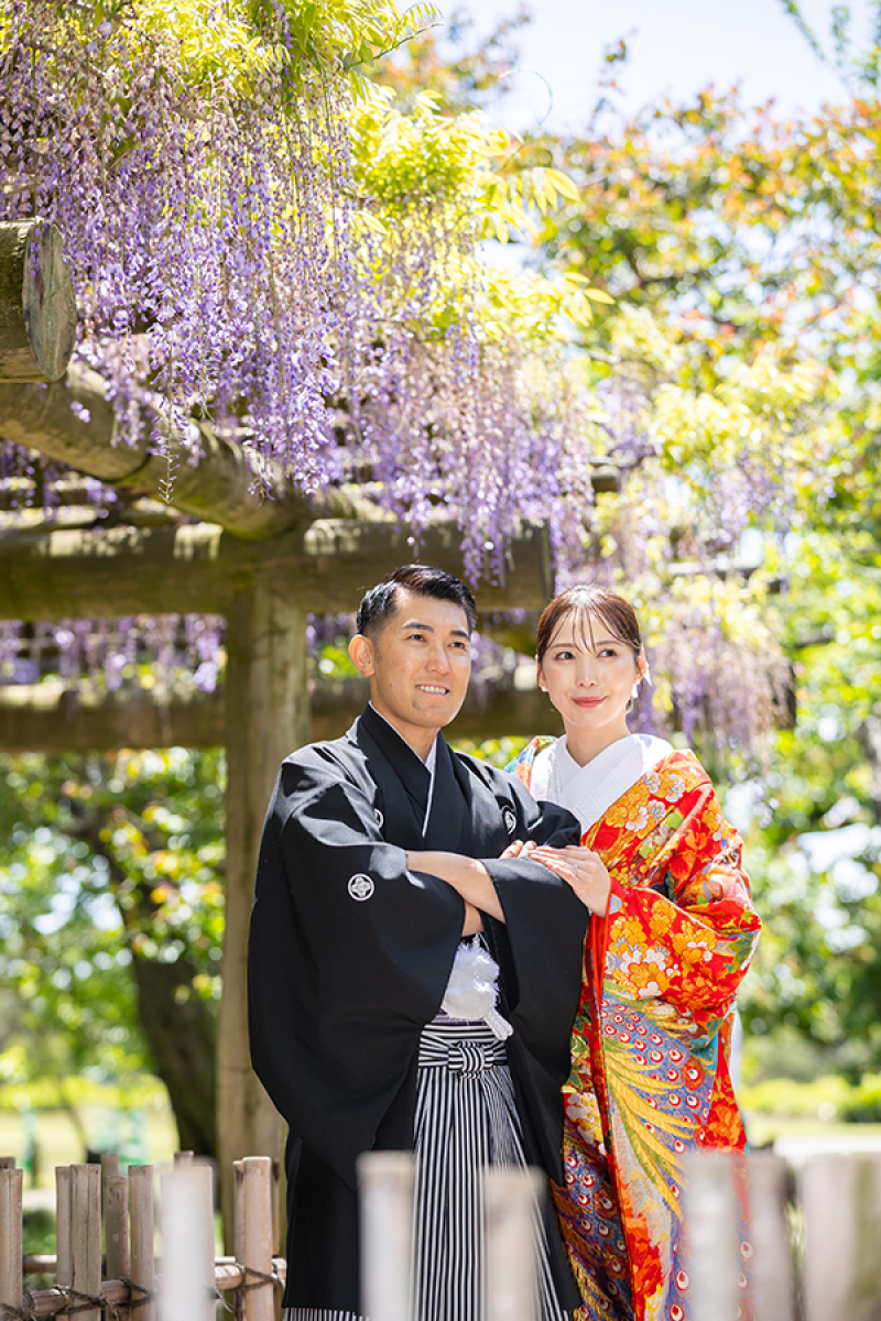 偕楽園藤の花にて