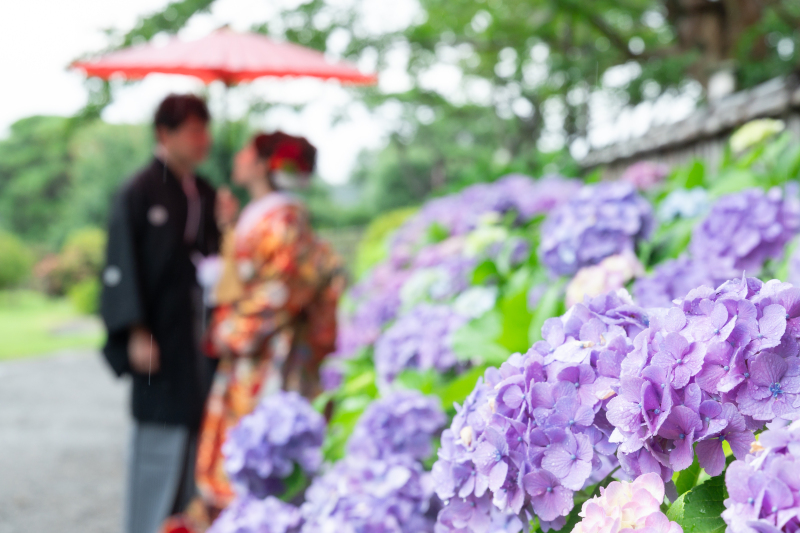 6月ならではの紫陽花カットは必ず!!
