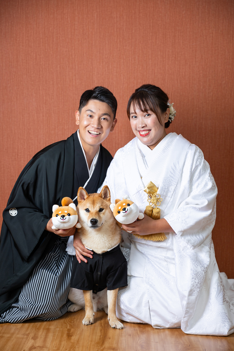 スタジオ背景：ブラウンバック