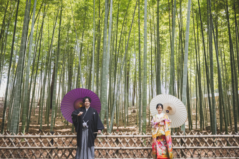 壮大な竹林を背景に