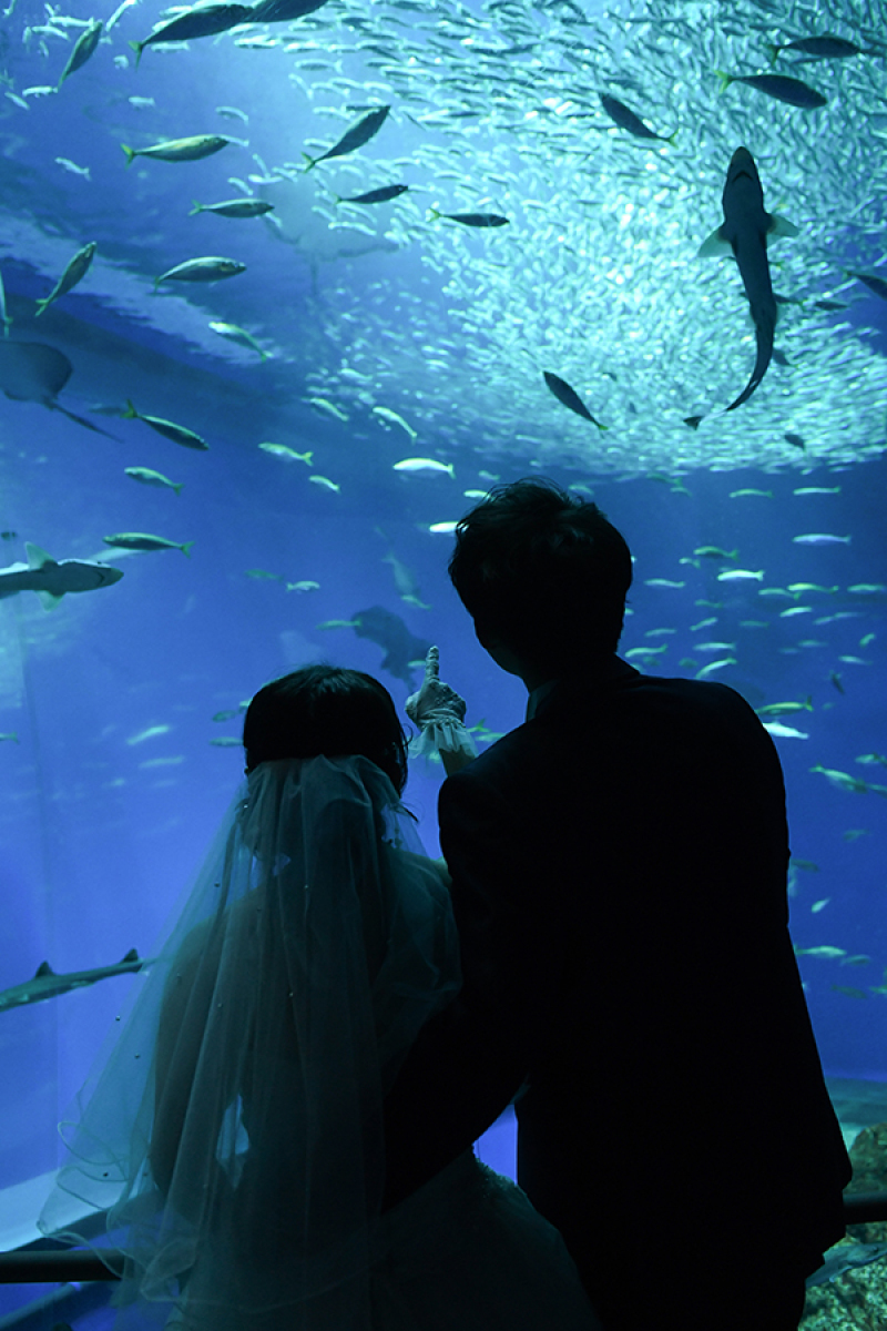 水族館にて