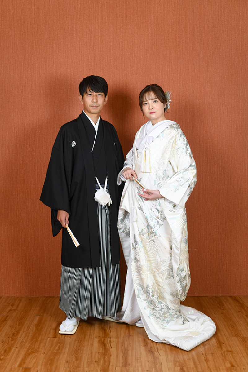 スタジオ背景：ブラウンバック