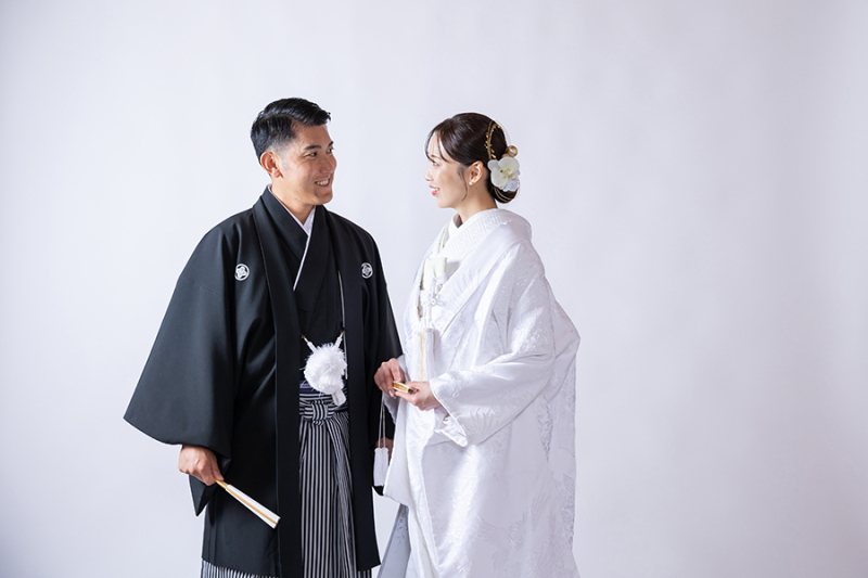 スタジオ背景：ペーパーバックホワイト