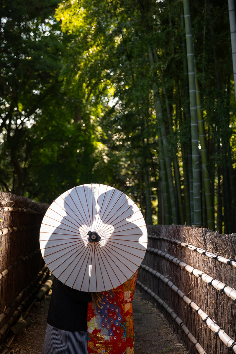 番傘シルエットショット