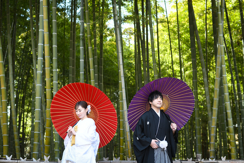 偕楽園竹林にて