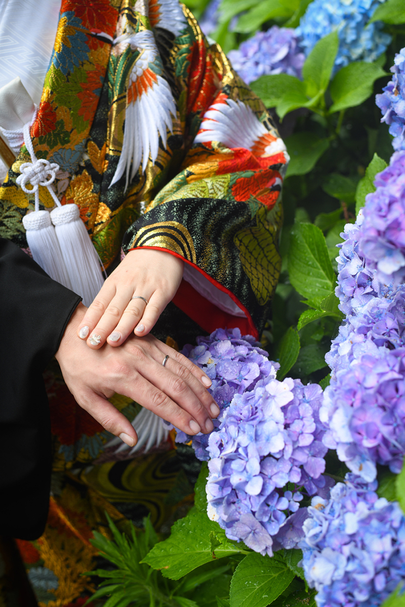 偕楽園紫陽花にて