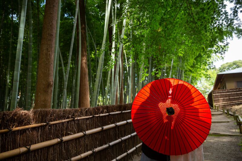 シルエットショット