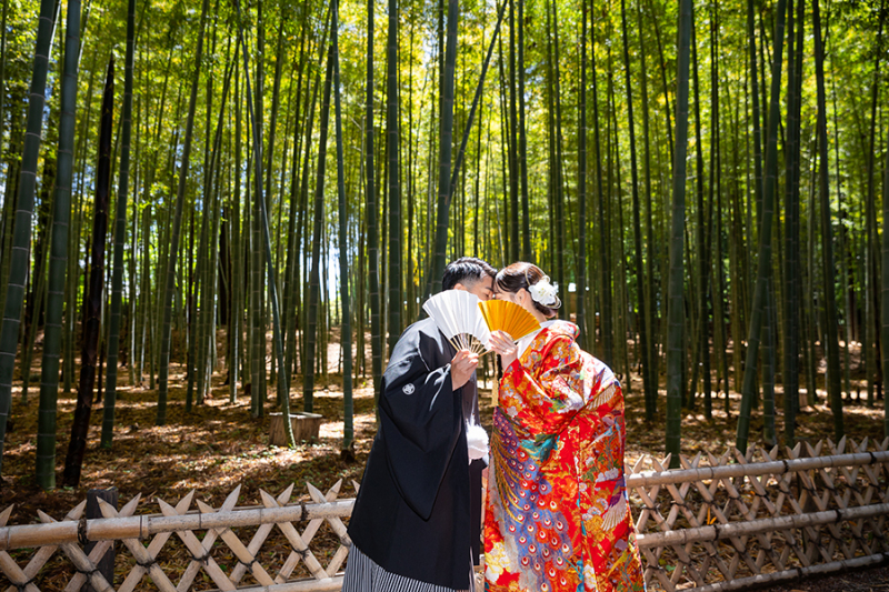 偕楽園竹林にて