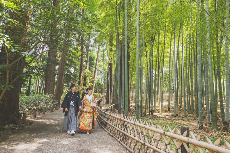 偕楽園竹林にて