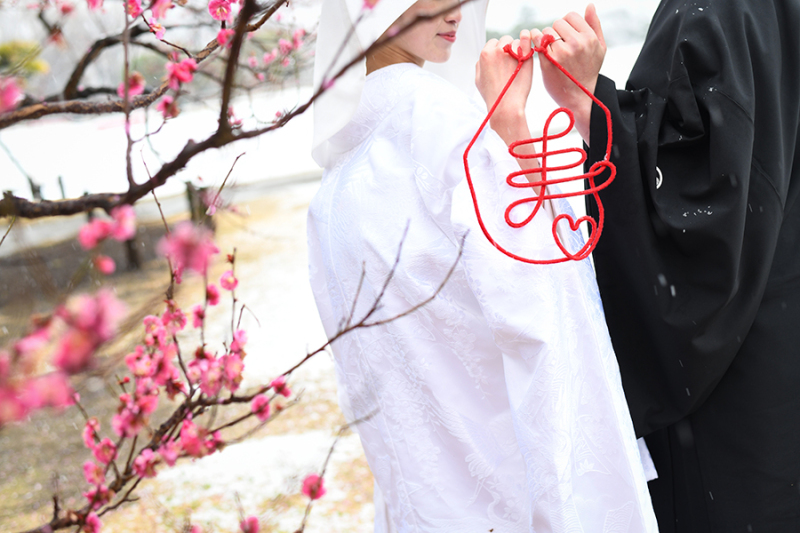 偕楽園梅林にて