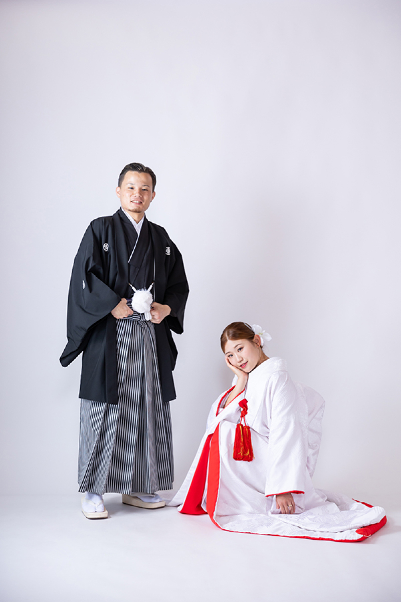 スタジオ背景：ペーパーバックホワイト