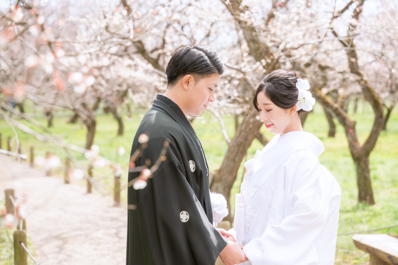 白無垢と梅との相性◎